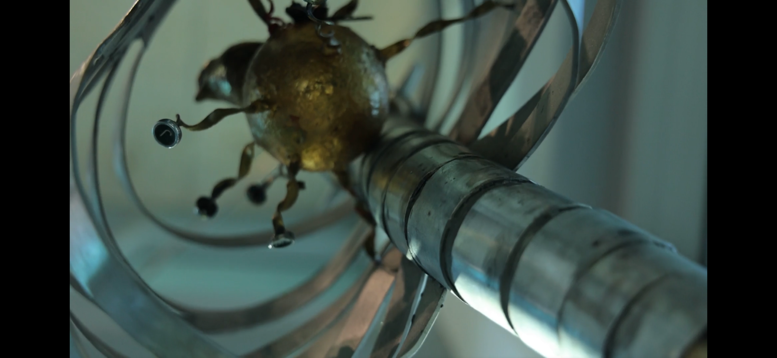 Video still from The Art of Choosing exhibition